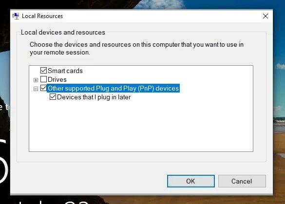 Plug and Play Devices (Hyper-V USB Passthrough)