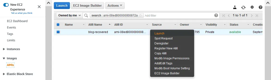 Launching the AMI to create EC2 instance from snapshot