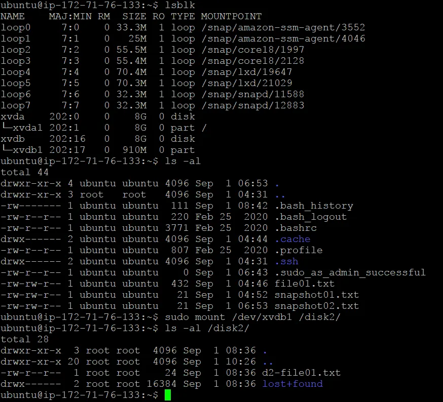 snapshots of ec2 instance were used to restore EBS volumes with files stored on them