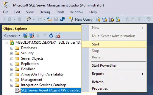 Starting SQL Server agent