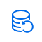 Multiple Backup Copy Options