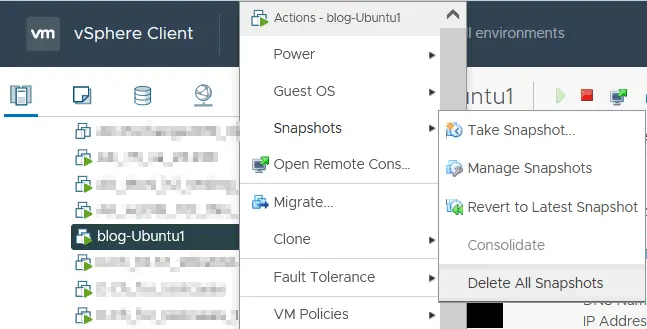 VMware delete snapshot