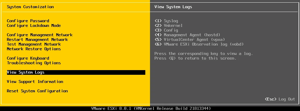Viewing ESXi logs in DCUI