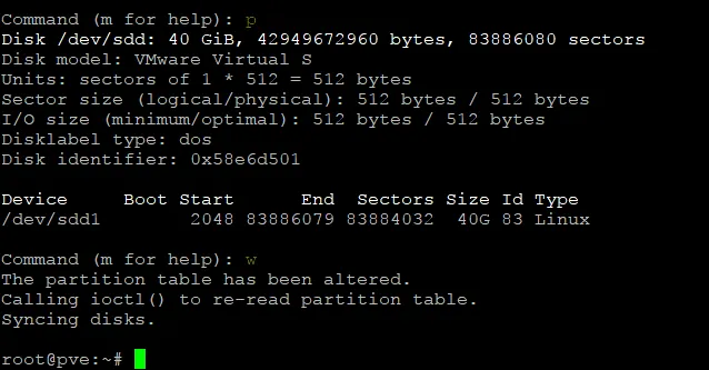 A partition has been created with fdisk