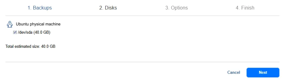 Selecting the disks to be exported and recovered